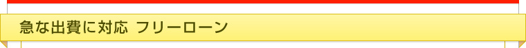 急な出費に対応 フリーローン
